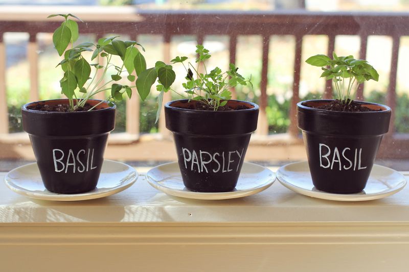 DIY Chalkboard Planters from A Beautiful Mess